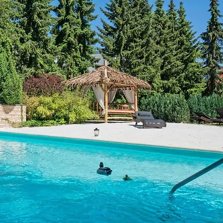 Holi Day 2 베를린